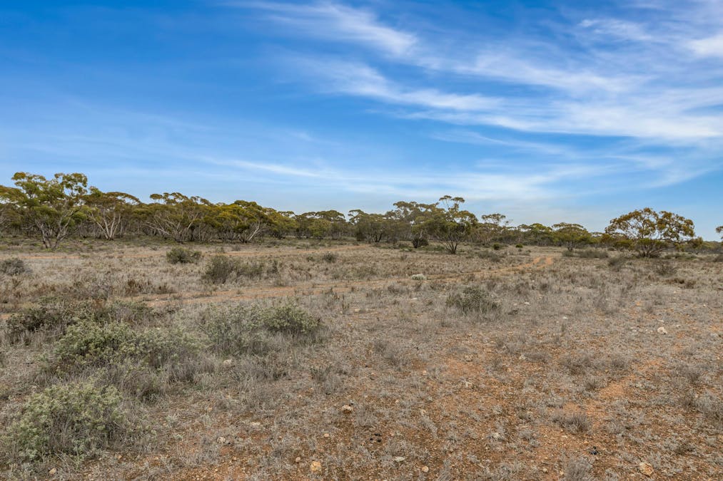 163 Bower Boundary Road, Bower, SA, 5374 - Image 19