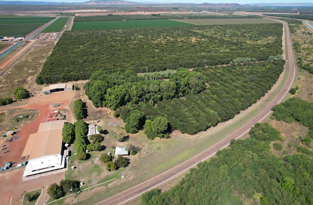 42 Weaber Plain Road, Kununurra, WA, 6743 - Image 14