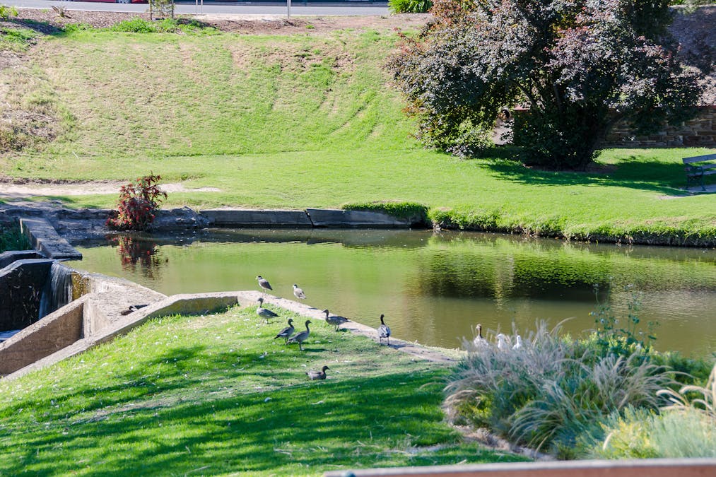 7,11 & 11A/7, 11 Berwick Crescent, Strathalbyn, SA, 5255 - Image 23