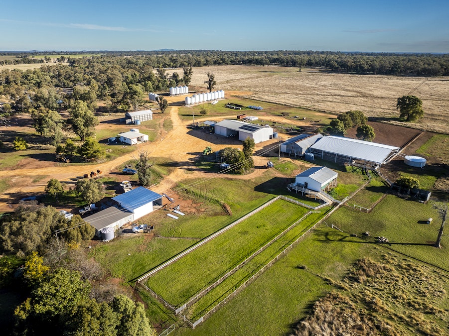 'Darriwell Aggregation' , Trundle, NSW, 2875 - Image 25