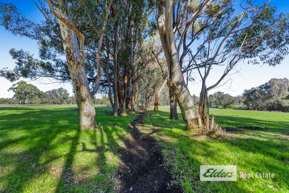 33 Bradbury Road, Collie Burn, WA, 6225 - Image 10