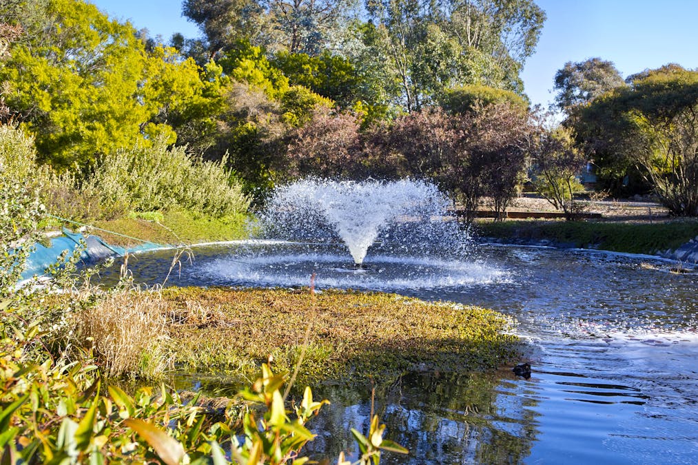 3 Hereford Place, Murrumbateman, NSW, 2582 - Image 25
