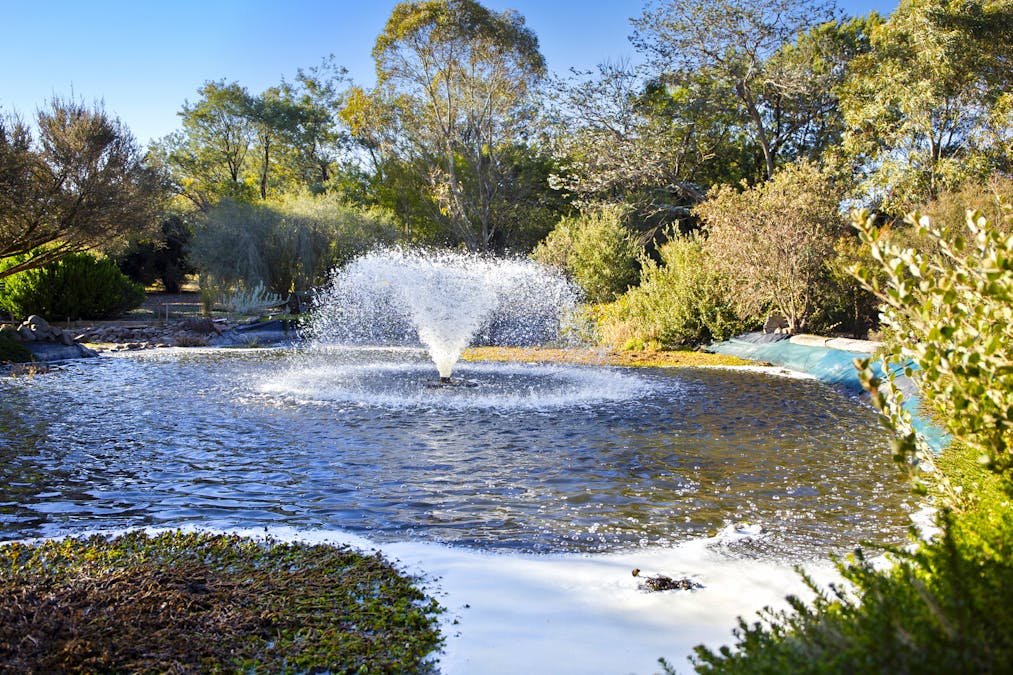 3 Hereford Place, Murrumbateman, NSW, 2582 - Image 26