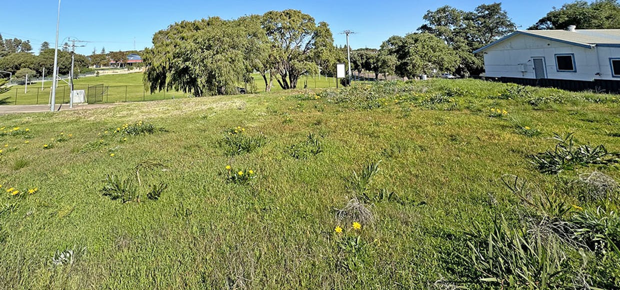 1 Pink Lake Road, Esperance, WA, 6450 - Image 4