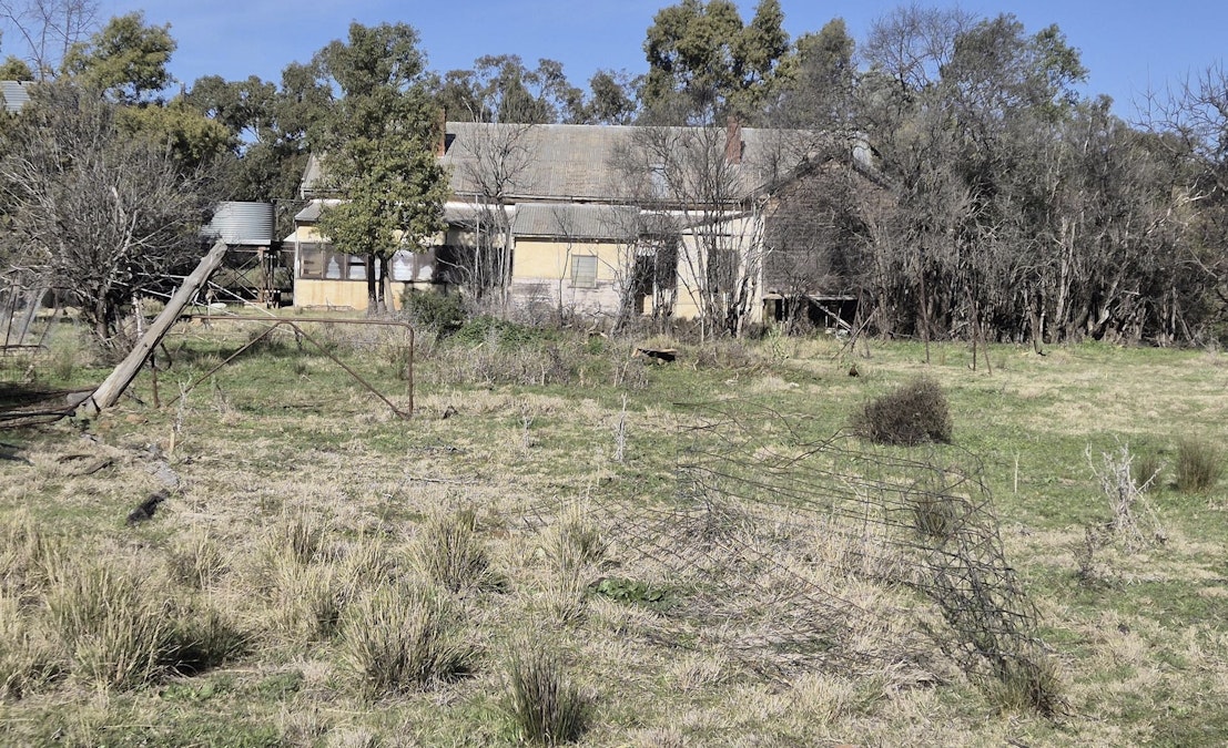 4668/ The Bogan Way , Bogan Gate, NSW, 2876 - Image 8