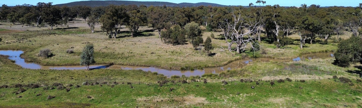 4668/ The Bogan Way , Bogan Gate, NSW, 2876 - Image 11