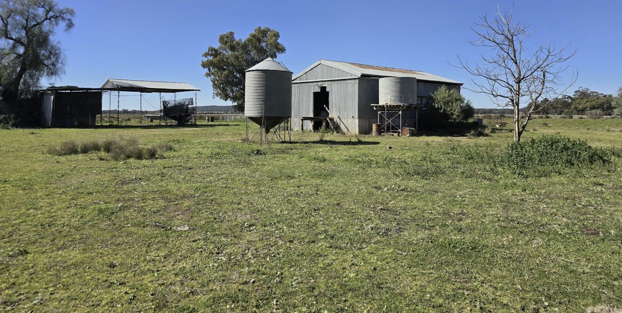 4668/ The Bogan Way , Bogan Gate, NSW, 2876 - Image 20