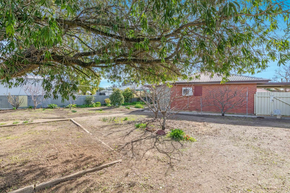 5 Phillip Street, Tanunda, SA, 5352 - Image 16