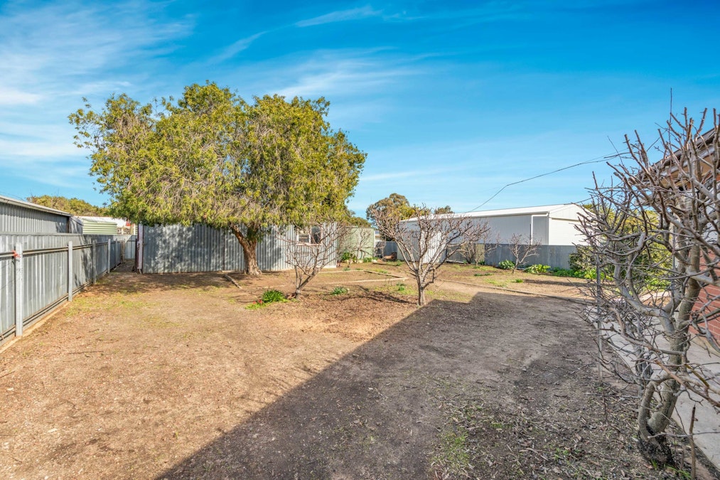 5 Phillip Street, Tanunda, SA, 5352 - Image 17