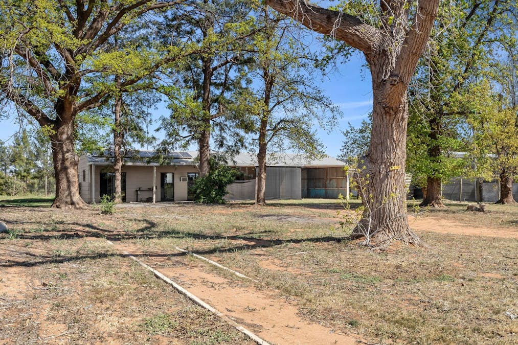 7 Cameron Street, Sunlands, SA, 5322 - Image 2