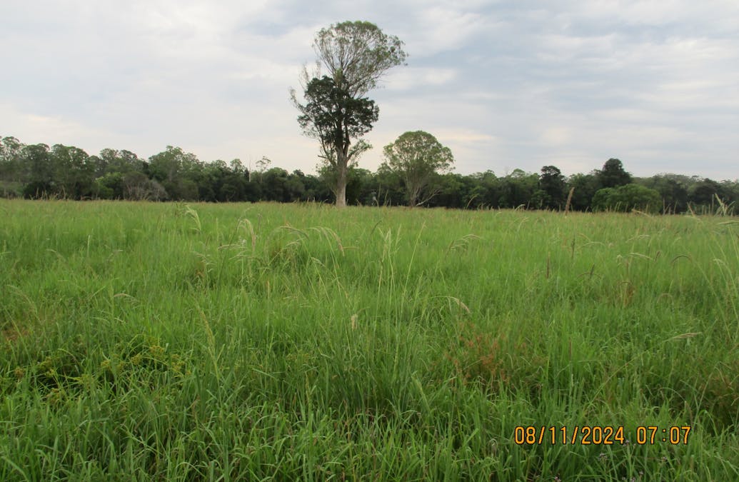 452 Commissioners Flat Road, Peachester, QLD, 4519 - Image 2