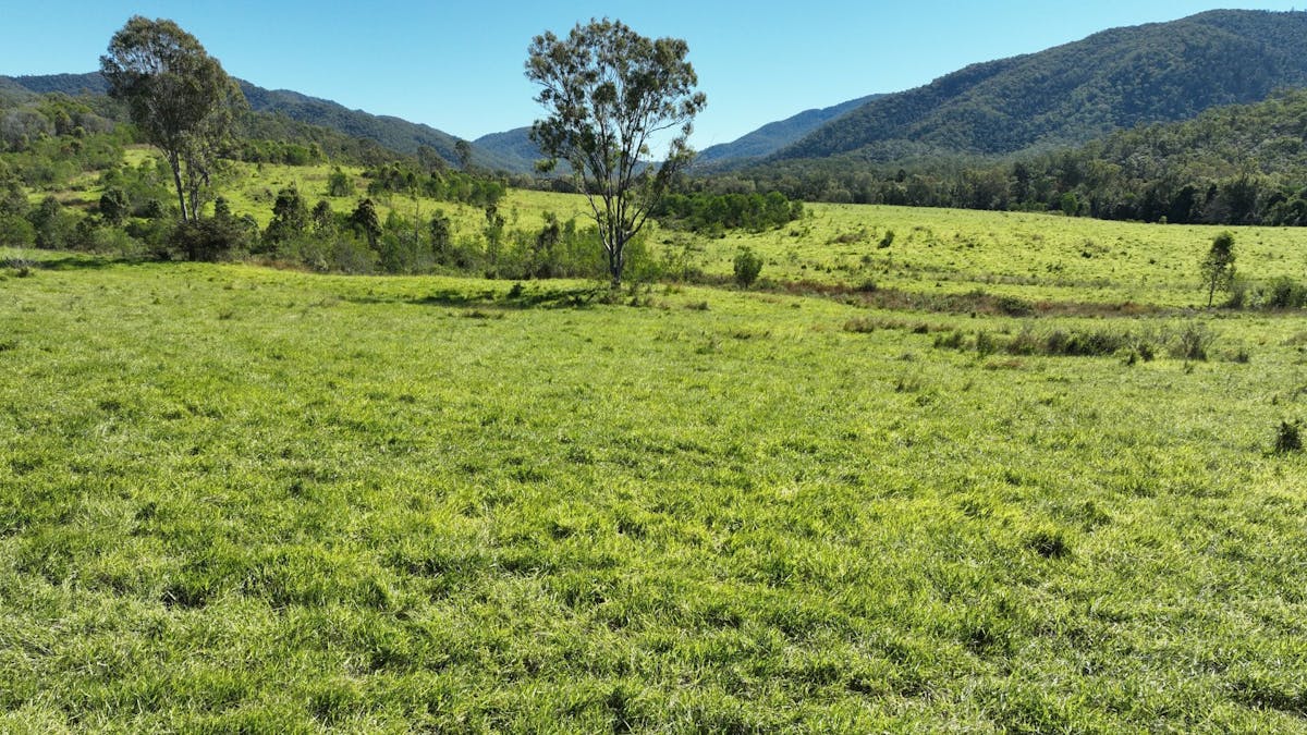 110 Forestry Road, Colosseum, QLD, 4677 - Image 4
