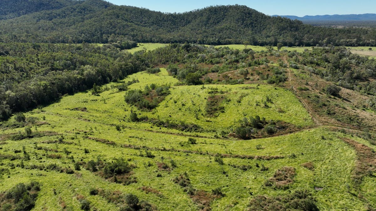 110 Forestry Road, Colosseum, QLD, 4677 - Image 7