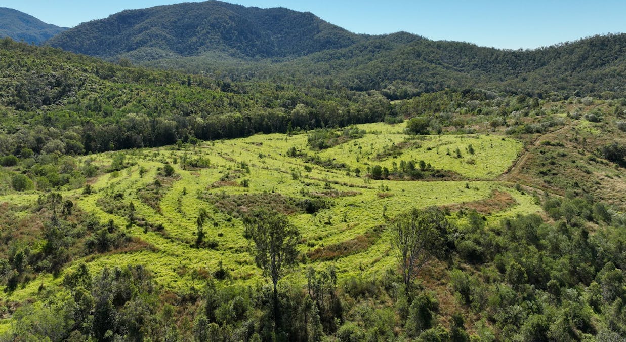 110 Forestry Road, Colosseum, QLD, 4677 - Image 1
