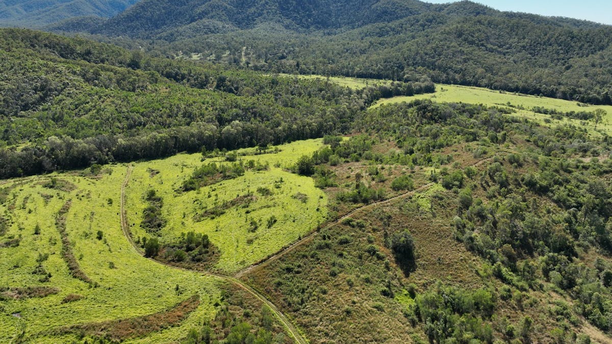 110 Forestry Road, Colosseum, QLD, 4677 - Image 9
