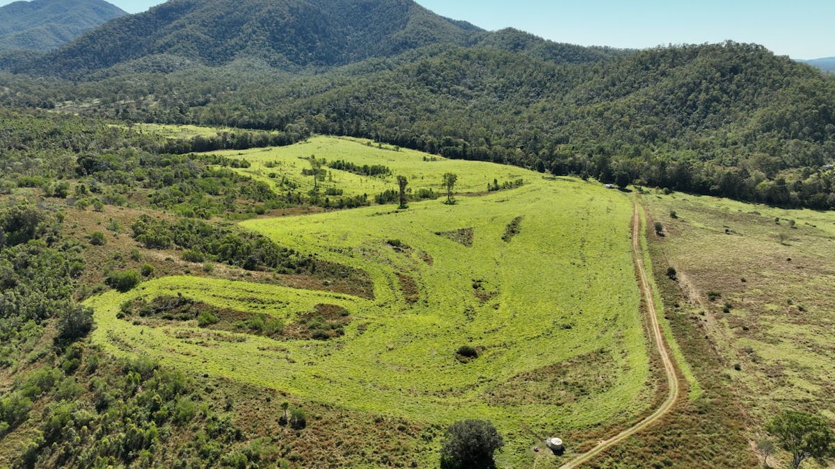 110 Forestry Road, Colosseum, QLD, 4677 - Image 10