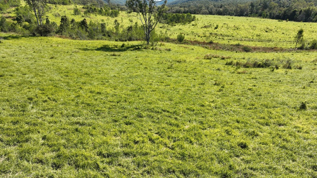 110 Forestry Road, Colosseum, QLD, 4677 - Image 11