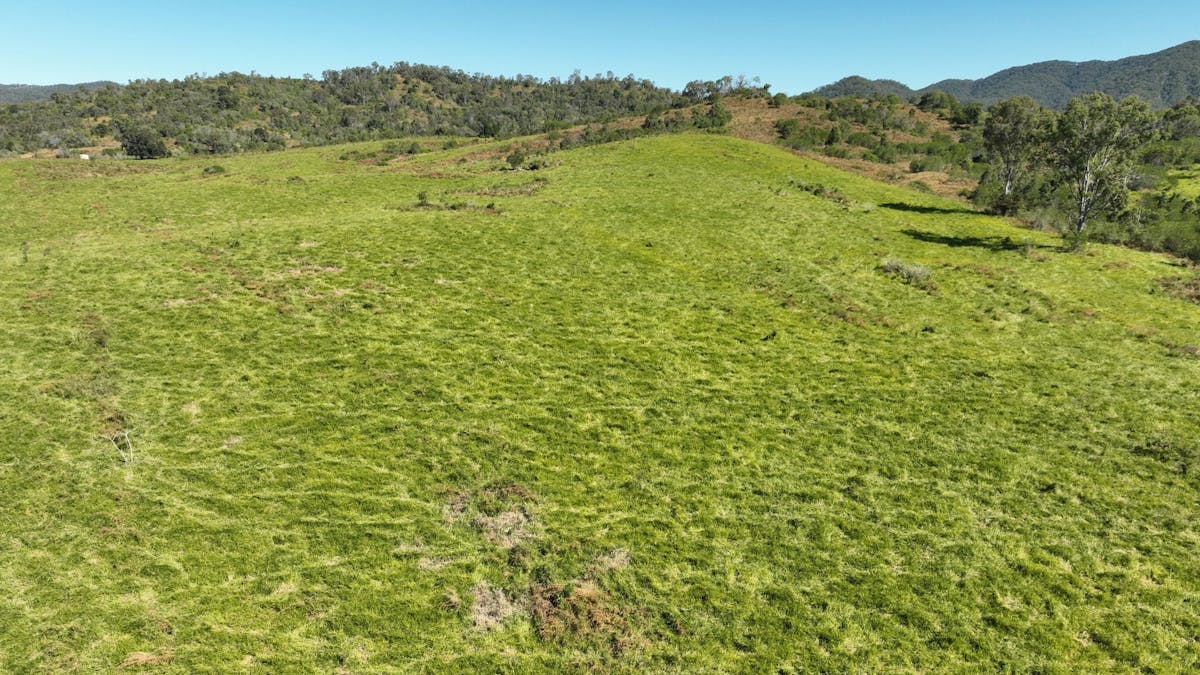 110 Forestry Road, Colosseum, QLD, 4677 - Image 13