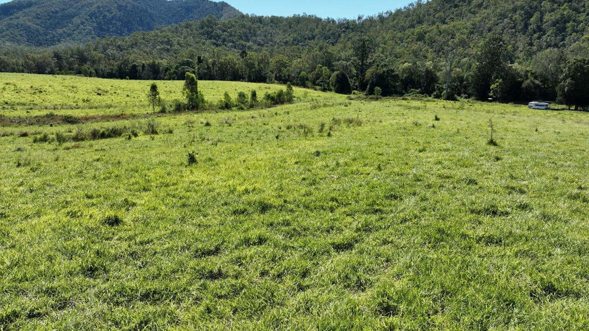 110 Forestry Road, Colosseum, QLD, 4677 - Image 21