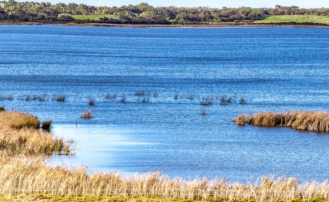 113 Island View Drive, Clayton Bay, SA, 5256 - Image 4