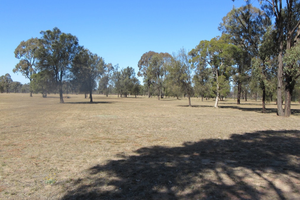 Tara, QLD, 4421 - Image 19