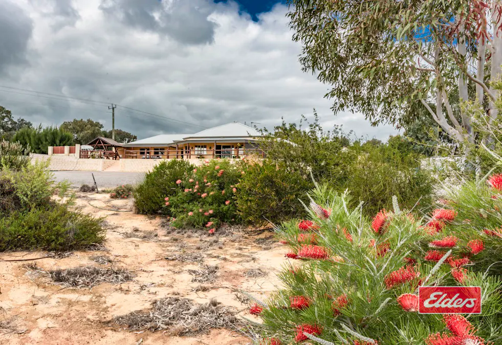 1668 Chapman Valley Road, Narra Tarra, WA, 6532 - Image 13