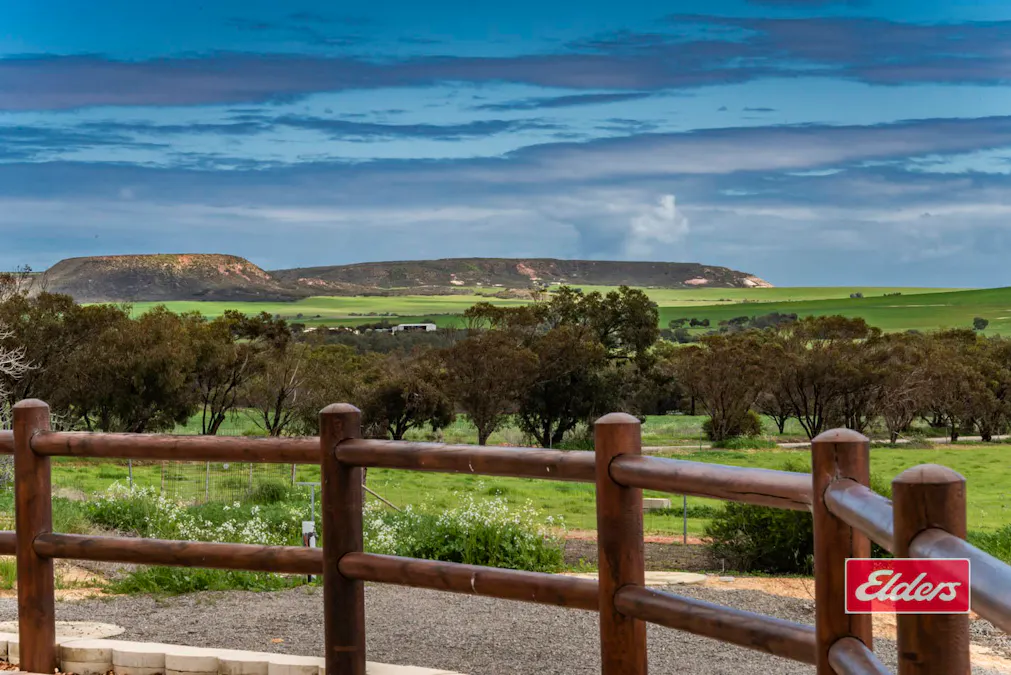 1668 Chapman Valley Road, Narra Tarra, WA, 6532 - Image 15