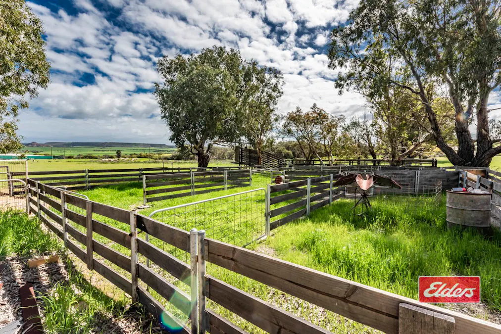 1668 Chapman Valley Road, Narra Tarra, WA, 6532 - Image 28