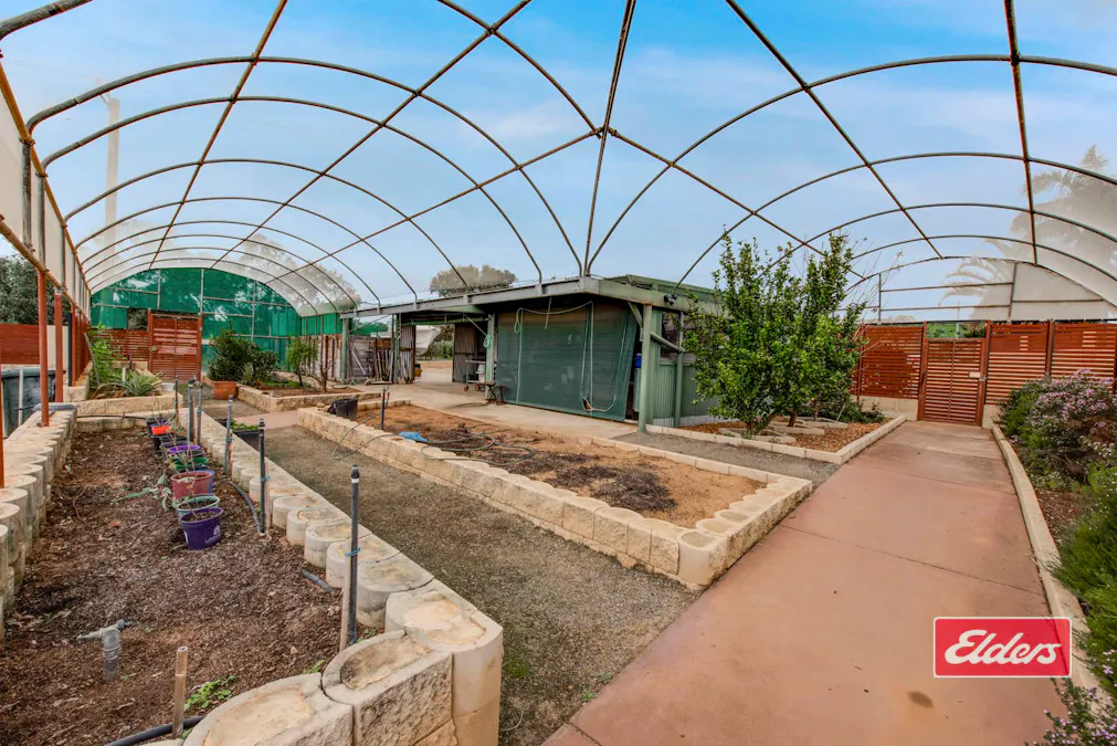 1668 Chapman Valley Road, Narra Tarra, WA, 6532 - Image 17