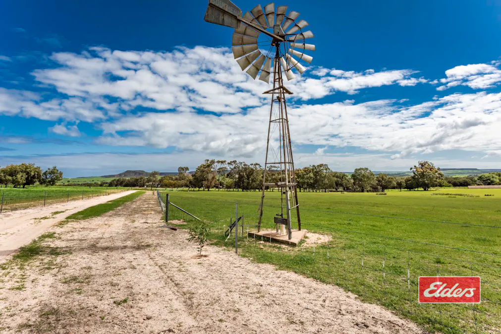 1668 Chapman Valley Road, Narra Tarra, WA, 6532 - Image 30