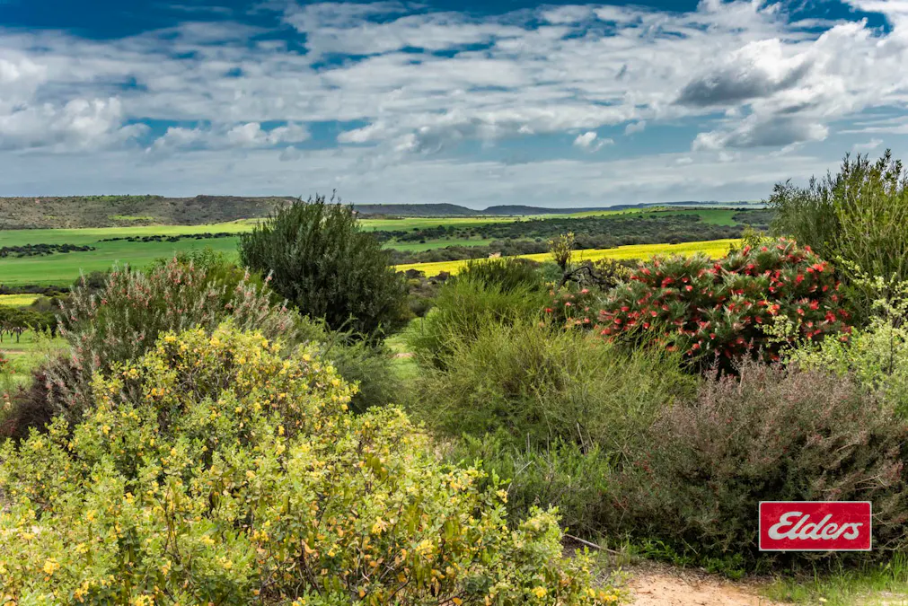 1668 Chapman Valley Road, Narra Tarra, WA, 6532 - Image 33