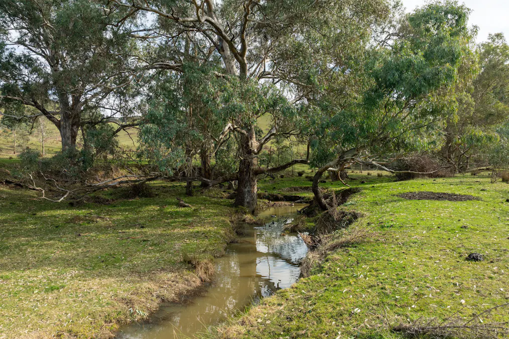 105 Johnsons Creek Road, Maintongoon, VIC, 3714 - Image 1