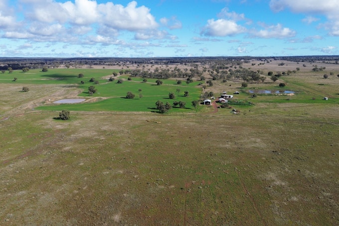 3267 Wilga Ridge Road, Fifield, NSW, 2875 - Image 1