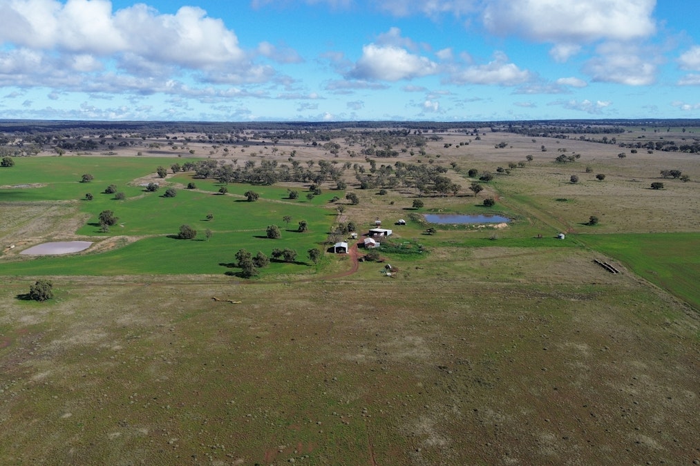 3267 Wilga Ridge Road, Fifield, NSW, 2875 - Image 19