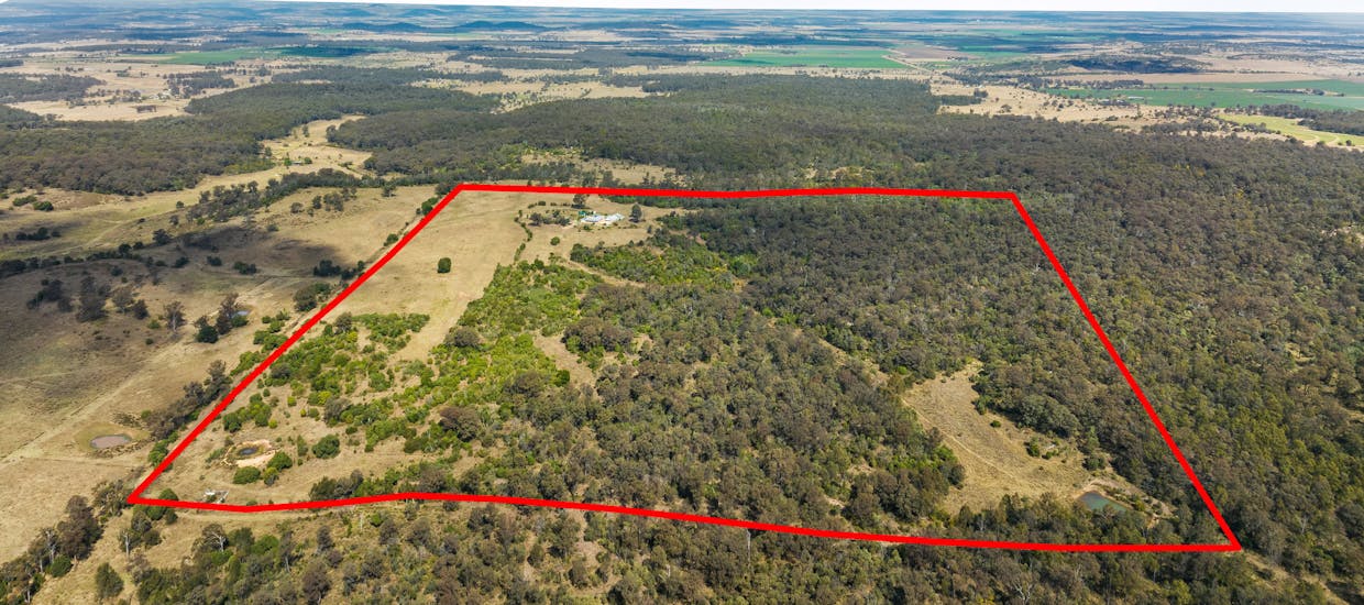 80 Boggs Road, Highland Plains, QLD, 4401 - Image 1