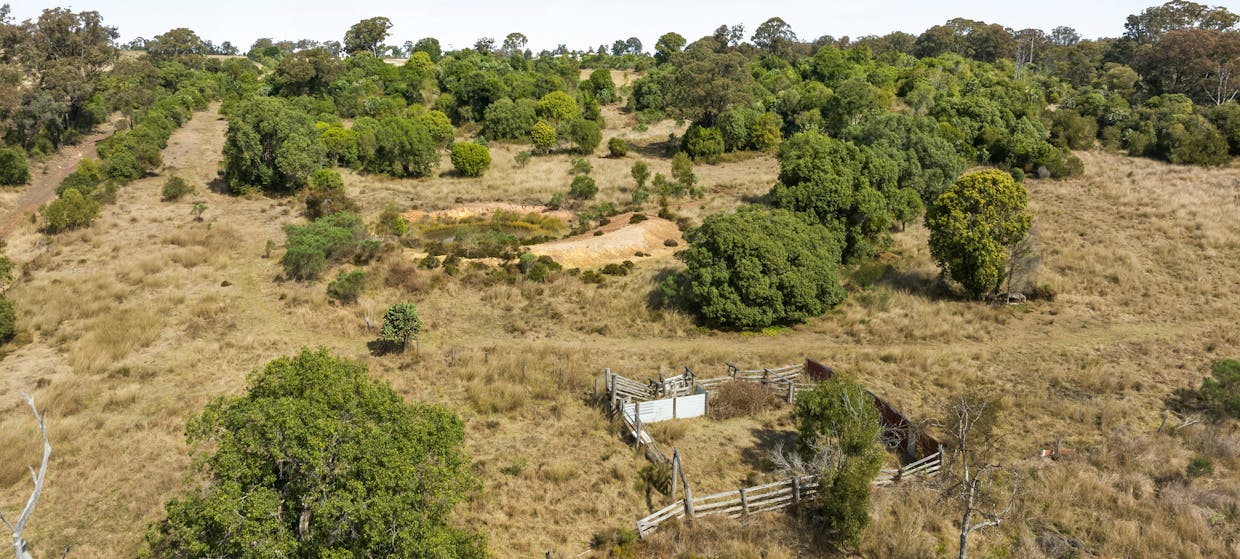 80 Boggs Road, Highland Plains, QLD, 4401 - Image 32