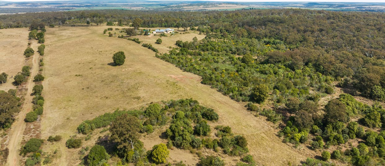 80 Boggs Road, Highland Plains, QLD, 4401 - Image 31