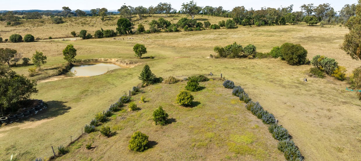 80 Boggs Road, Highland Plains, QLD, 4401 - Image 30