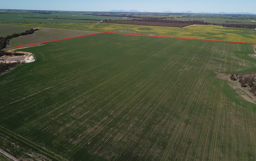 6352 Scotchmans Road, Gnowangerup, WA, 6335 - Image 5