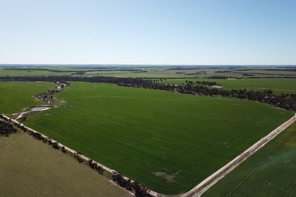 6352 Scotchmans Road, Gnowangerup, WA, 6335 - Image 9