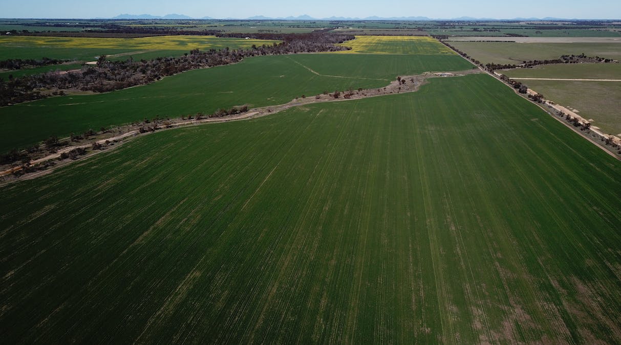 6352 Scotchmans Road, Gnowangerup, WA, 6335 - Image 10