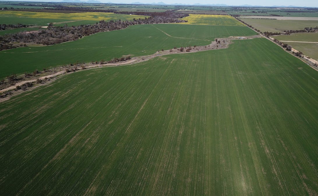 6352 Scotchmans Road, Gnowangerup, WA, 6335 - Image 12