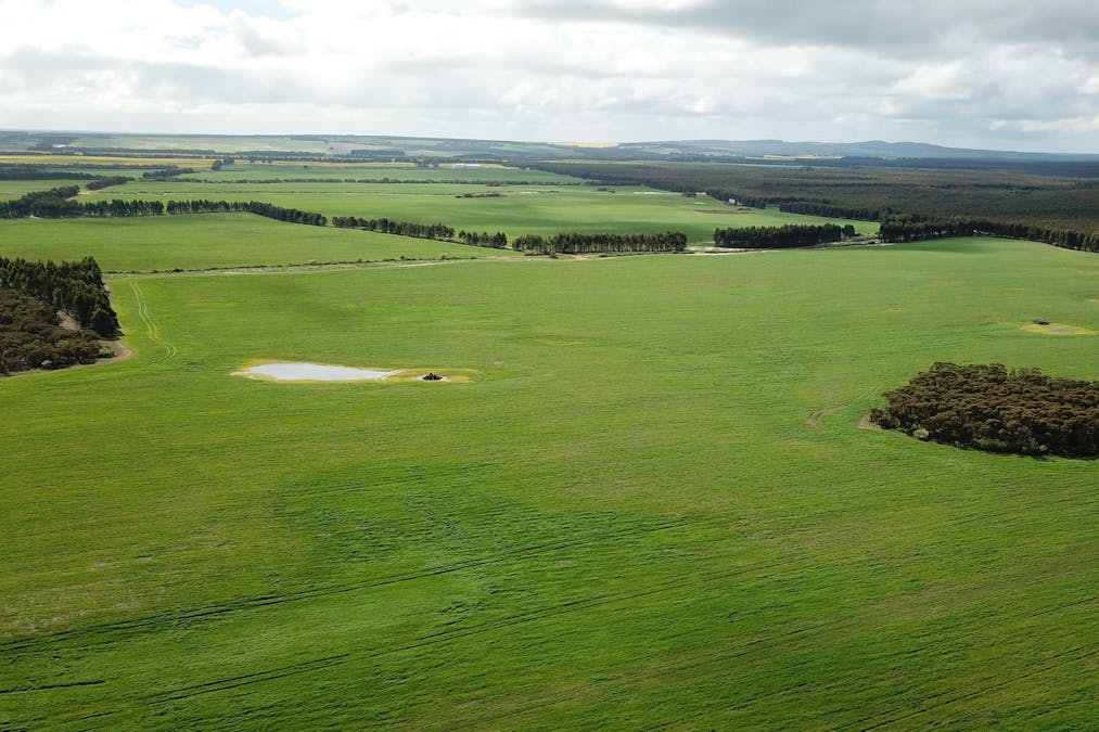 335 Drawbin Road, South Stirling, WA, 6324 - Image 21