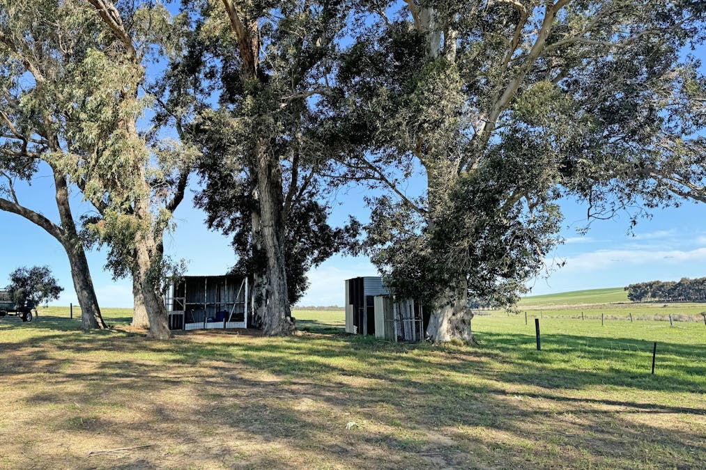 Lot 695 Coramup Road, Gibson, WA, 6448 - Image 27