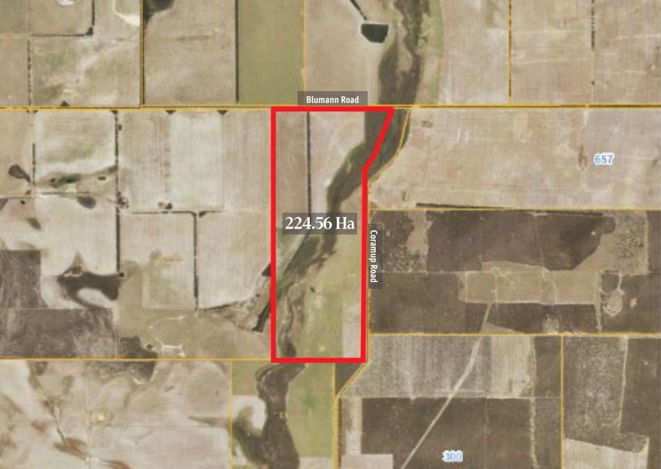 Lot 695 Coramup Road, Gibson, WA, 6448 - Image 29