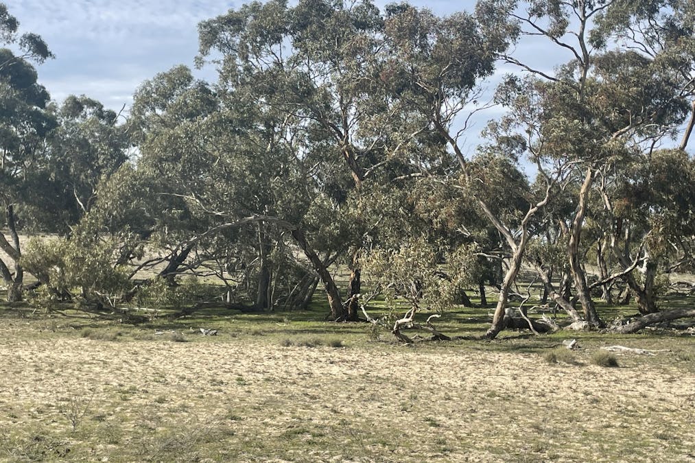 1287 Baan Hill Road, Lameroo, SA, 5302 - Image 13