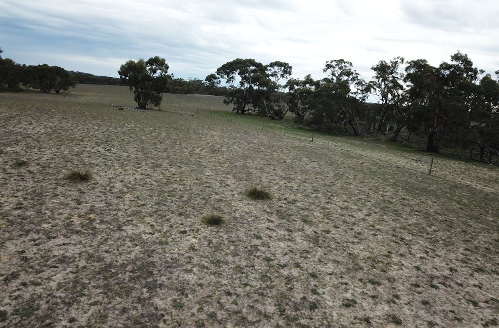 1287 Baan Hill Road, Lameroo, SA, 5302 - Image 14