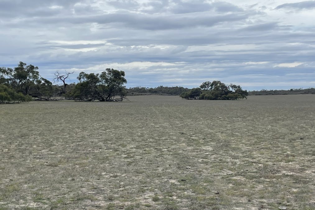 1287 Baan Hill Road, Lameroo, SA, 5302 - Image 15