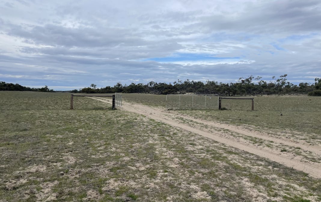 1287 Baan Hill Road, Lameroo, SA, 5302 - Image 1