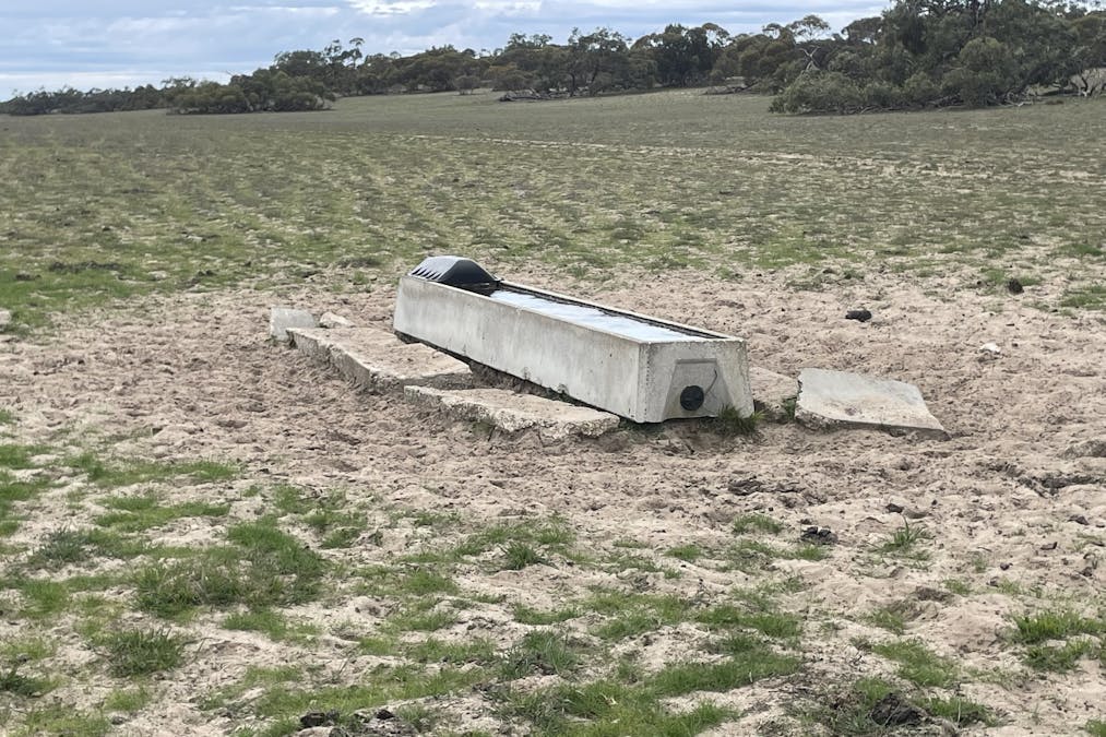 1287 Baan Hill Road, Lameroo, SA, 5302 - Image 18